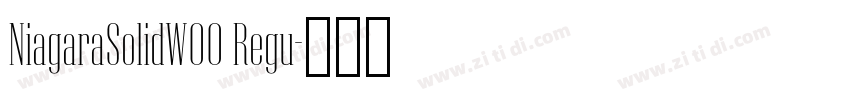 NiagaraSolidW00 Regu字体转换